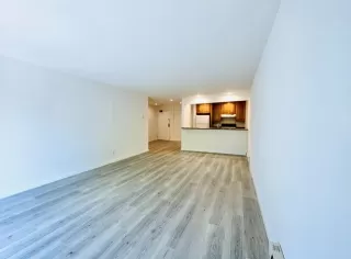 Photo #1: 41124147 Listing 