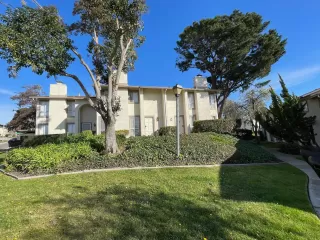 Photo #1: 41124162 Listing