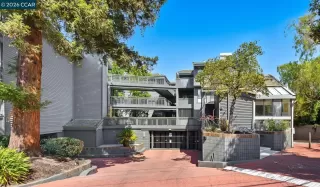 Photo #1: 41124165 Listing 