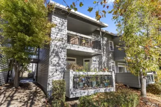 Photo #2: 41124179 Listing 