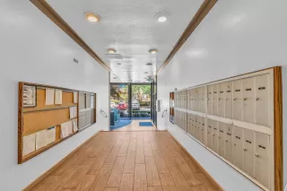 Photo #6: 41124221 Listing 