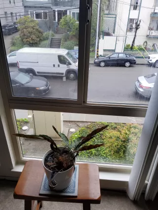 Photo #1: 41124451 Listing 