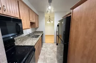 Photo #2: 41124451 Listing 