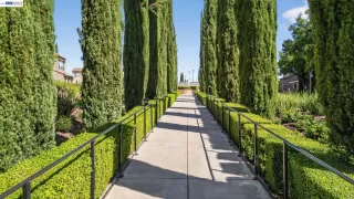 Photo #3: 41124667 Listing 