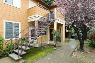 Primary Photo for MLS#: 41124716