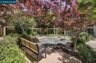 Photo #1: 41124922 Listing 