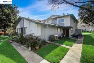 Primary Photo for MLS#: 41125139