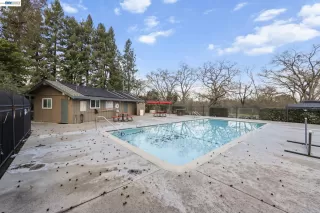 Photo #4: 41125139 Listing