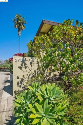 Photo #2: 41125481 Listing 