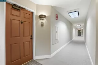 Photo #1: 41125522 Listing 