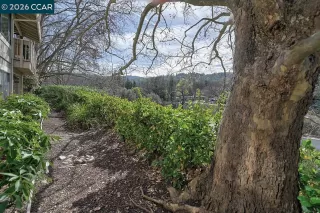 Photo #5: 41125531 Listing