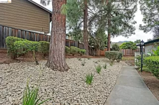 Photo #2: 41125551 Listing