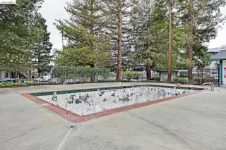 Photo #4: 41125551 Listing