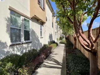 Photo #4: 41125553 Listing 