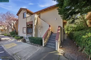 Photo #1: 41125720 Listing 