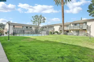 Photo #1: 41125755 Listing