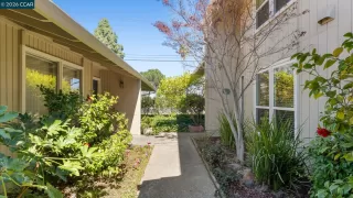 Photo #1: 41125761 Listing