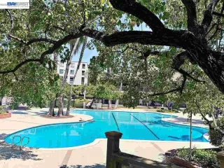 More Details about MLS # 41125860 : 430 N CIVIC DR # 208