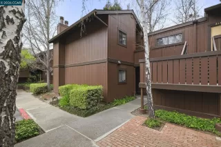 Photo #1: 41125863 Listing 