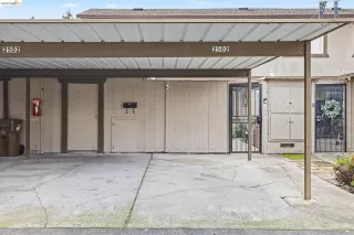 Photo #1: 41125941 Listing 