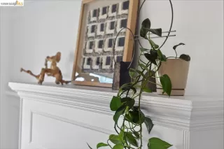 Photo #5: 41126046 Listing 