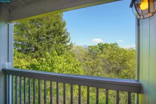 Photo #6: 41126134 Listing 