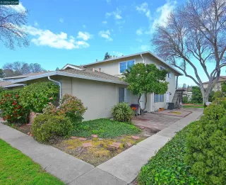 Photo #1: 41126150 Listing 