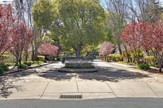 Photo #1: 41126175 Listing 