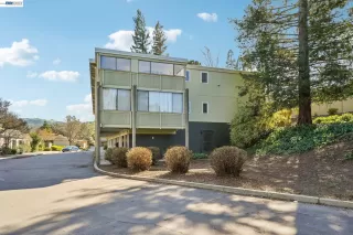 Photo #1: 41126227 Listing 