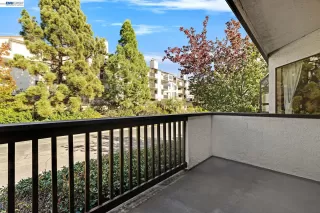 Photo #1: 41126336 Listing 