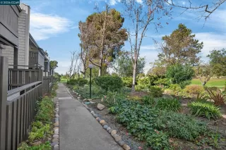 Photo #6: 41126369 Listing 