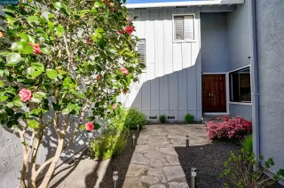 Photo #6: 41126382 Listing 