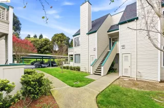 Photo #2: 41126426 Listing 