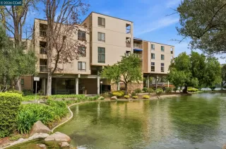 Photo #1: 41126485 Listing 