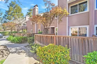 Photo #3: 41126789 Listing 