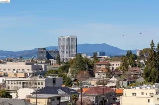 Photo #6: 41127115 Listing 