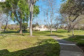 Photo #3: 41127312 Listing