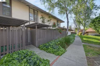 Primary Photo for MLS#: 41127348