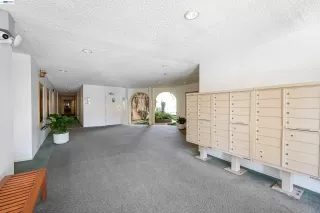 Photo #3: 41127506 Listing