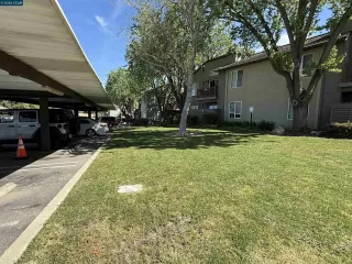 Photo #5: 41127533 Listing 