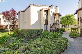 Photo #2: 41127537 Listing 