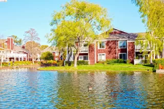 Primary Photo for MLS#: 41127697