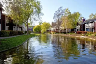 Photo #1: 41127697 Listing 