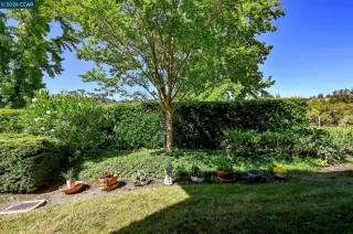 Photo #3: 41127743 Listing 