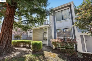 Photo #2: 41127828 Listing