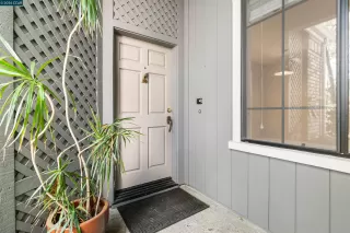 Photo #1: 41127858 Listing 