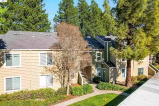 Photo #6: 41127867 Listing 