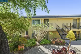 Photo #1: 41128031 Listing 