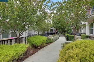 Photo #1: 41128124 Listing