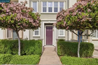 Photo #2: 41128318 Listing 